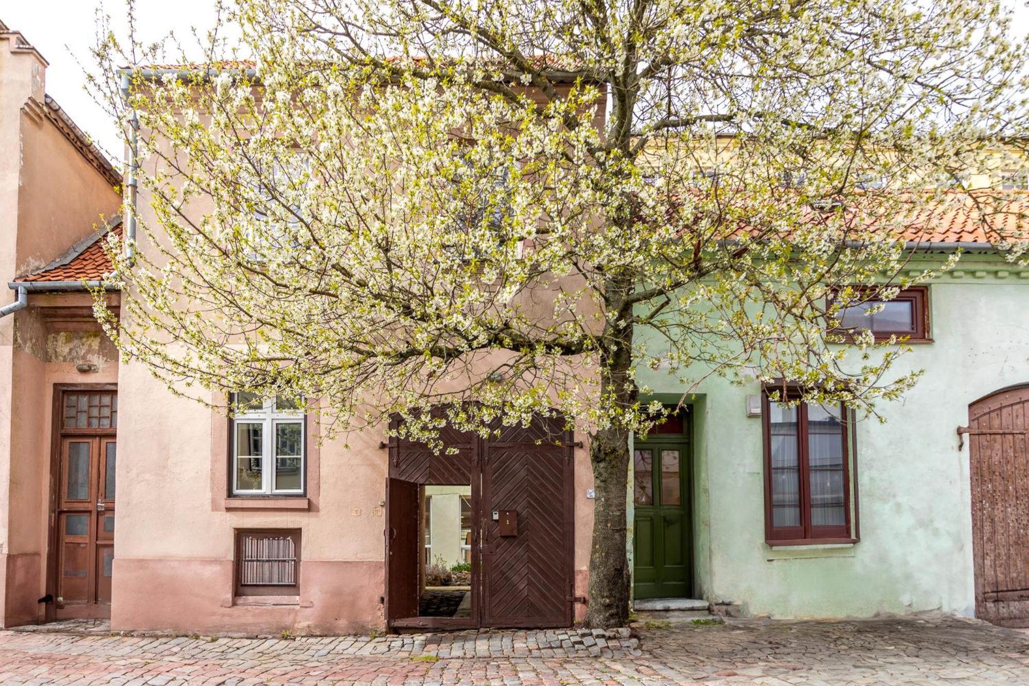 In The Heart Of The Old Town Vip Apartment Klaipėda Exterior foto